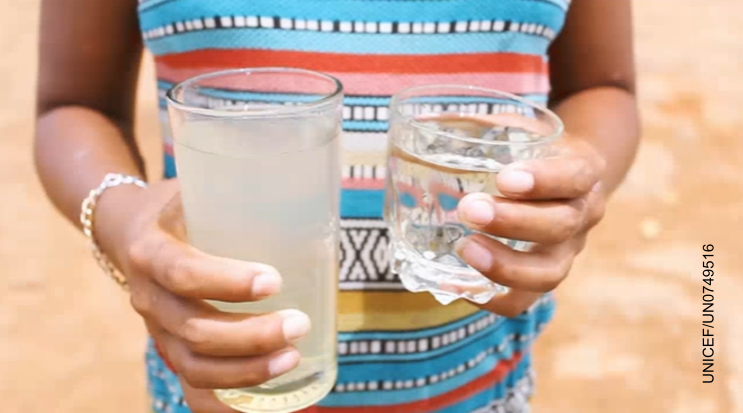 vaso_salta