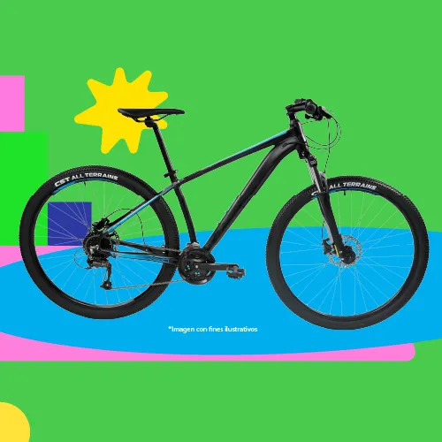 Bicicleta de adulto