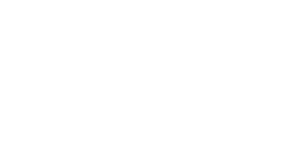 Bisa seguros