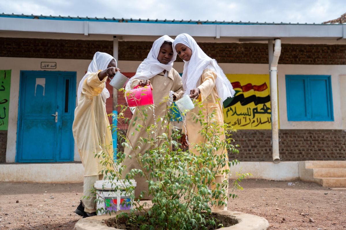 Students watering trees at school